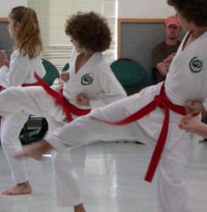 Learn Karate in North Naples